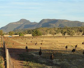 Tooraweenah NSW Yamba Accommodation