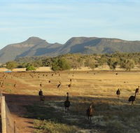 Emu Logic - Yamba Accommodation