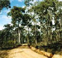 Paddys Ranges State Park - Yamba Accommodation