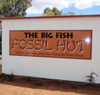 Big Fish Fossil Hut at Peak Hill - Yamba Accommodation
