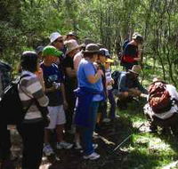 Warrumbungle National Park Discovery Program - Yamba Accommodation