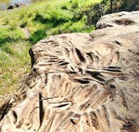 Terramungamine Rock Grooves - Yamba Accommodation