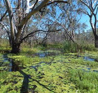 Macquarie Valley Trails - Yamba Accommodation