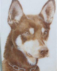 Doris Golder Wool Art Gallery - Yamba Accommodation 1