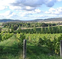Sassy Wines - Yamba Accommodation