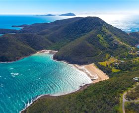 Birdwatching On Keswick Island - Yamba Accommodation 1