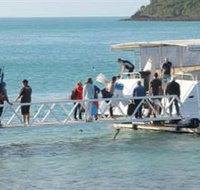 Scuba Diving on Keswick Island - Yamba Accommodation