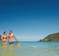 Snorkelling on Keswick Island - Yamba Accommodation