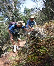 Mount Arthur Reserve - Yamba Accommodation 0