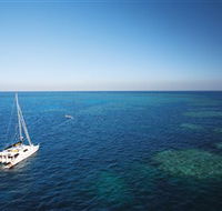 Bait Reef and Garys Lagoon Dive Site - Yamba Accommodation