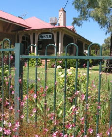 Dunedoo Local Museum - Yamba Accommodation 0