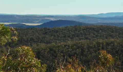 Conimbla National Park - Yamba Accommodation 1