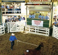 Gracemere Exhibition Complex - Yamba Accommodation