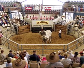 Gracemere Exhibition Complex - Yamba Accommodation 1