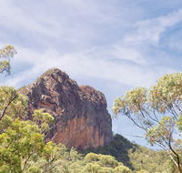 Green Camp - Yamba Accommodation