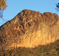 Kaputar scenic drive - Yamba Accommodation