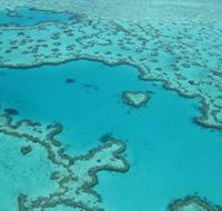 Heart Reef - Yamba Accommodation