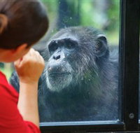 The Rockhampton Zoo - Yamba Accommodation