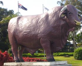 Rockhampton Bull Statues - Yamba Accommodation 0