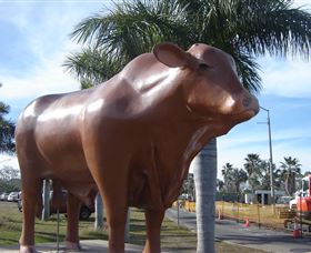 Rockhampton Bull Statues - Yamba Accommodation 3