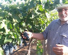 Rosnay Organic Farm And Vineyard - Yamba Accommodation 6