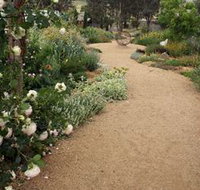 Perennialle Plants Nursery and Garden
