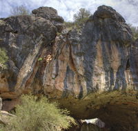 Borenore Karst Conservation Reserve - Yamba Accommodation