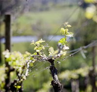 Lethbridge Wines - Yamba Accommodation