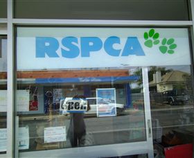 R.S.P.C.A Opportunity Shop - Yamba Accommodation 0