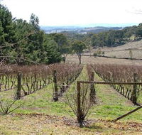 Habitat Vineyard - Yamba Accommodation