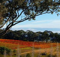 Bloodwood Estate - Yamba Accommodation