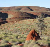 Camel Trail Millstream-Chichester National Park - Yamba Accommodation
