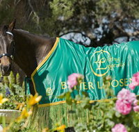 Living Legends The International Home of Rest for Champion Horses - Yamba Accommodation