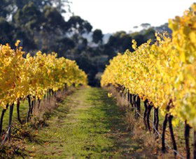 Otway Estate - Yamba Accommodation 6