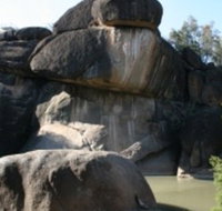 Cranky Rock Nature Reserve - Yamba Accommodation