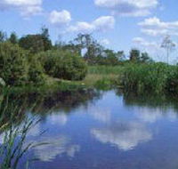 Yan Yean Reservoir Park - Yamba Accommodation