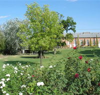 Ian Geddes Bushwalk - Yamba Accommodation