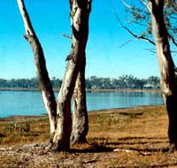 Lake Broadwater Conservation Park - Yamba Accommodation