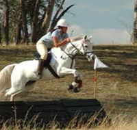 National Equestrian Centre - Kerrabee - Yamba Accommodation