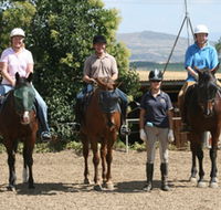 Forest Park Riding and Equitation School - Yamba Accommodation