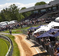 Thoroughbred Park Canberra Racing Club - Horse Racing in the Nations Capital - Yamba Accommodation