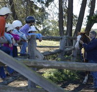 Harlow Park Horse Riding - Yamba Accommodation