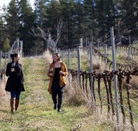 Mount Majura Vineyard - Yamba Accommodation