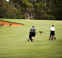 Federal Golf Club - Yamba Accommodation