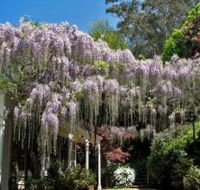 Nooroo Gardens - Yamba Accommodation