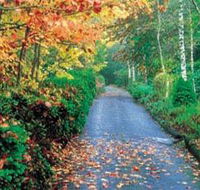 Mount Wilson and Mount Irvine - Yamba Accommodation