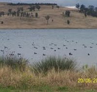 Lake Liddell Recreation Area - Yamba Accommodation