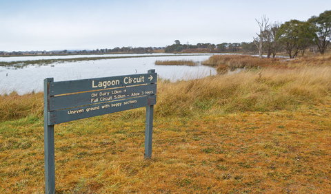 Lagoon Circuit Walking Track - Yamba Accommodation 0