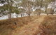 Lagoon Circuit Walking Track - thumb 1