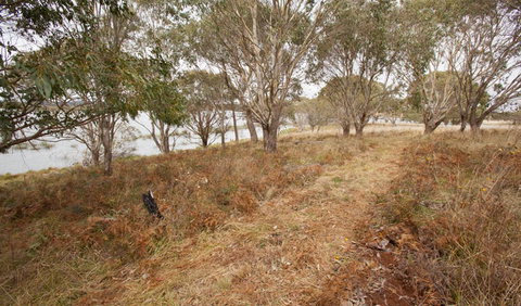 Lagoon Circuit Walking Track - Yamba Accommodation 1